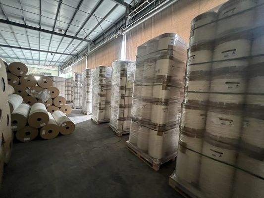 Digital Printing Film – Precision Meets Versatility for Modern Printing Solutions